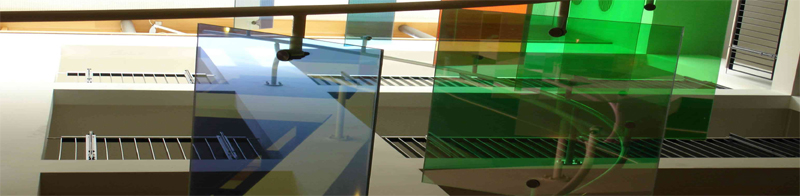 Mainz House of Representatives, Petra Goldmann, 1999